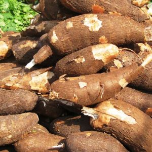 cassava-farming-in-Nigeria.jpg